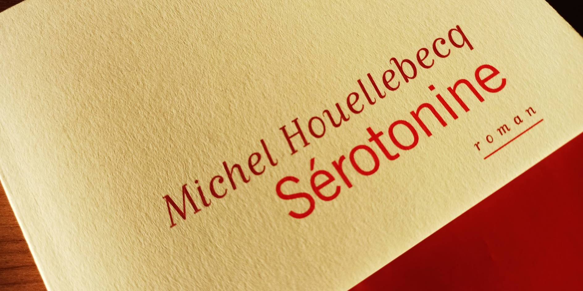 michel houellebecq serotonine