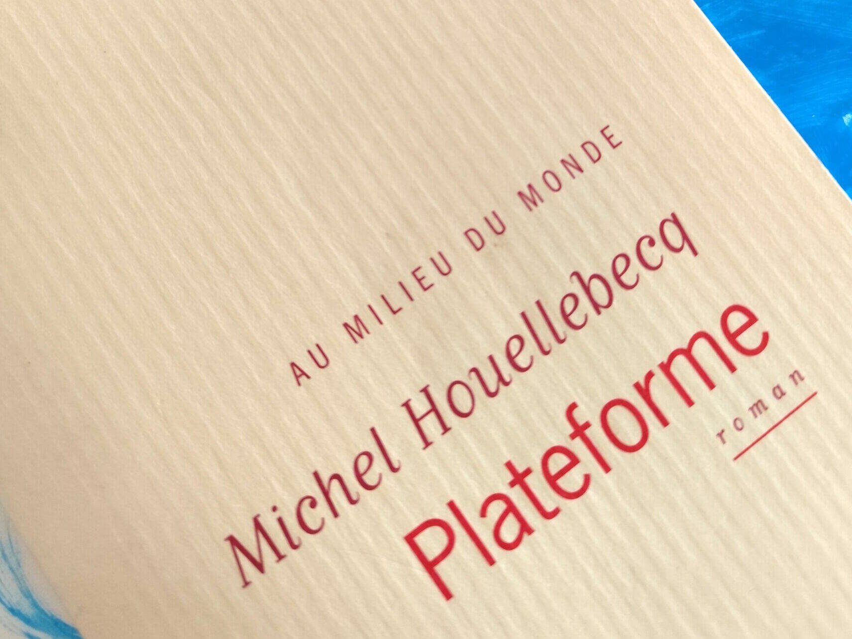 jecritiquetout plateforme michel houellebecq