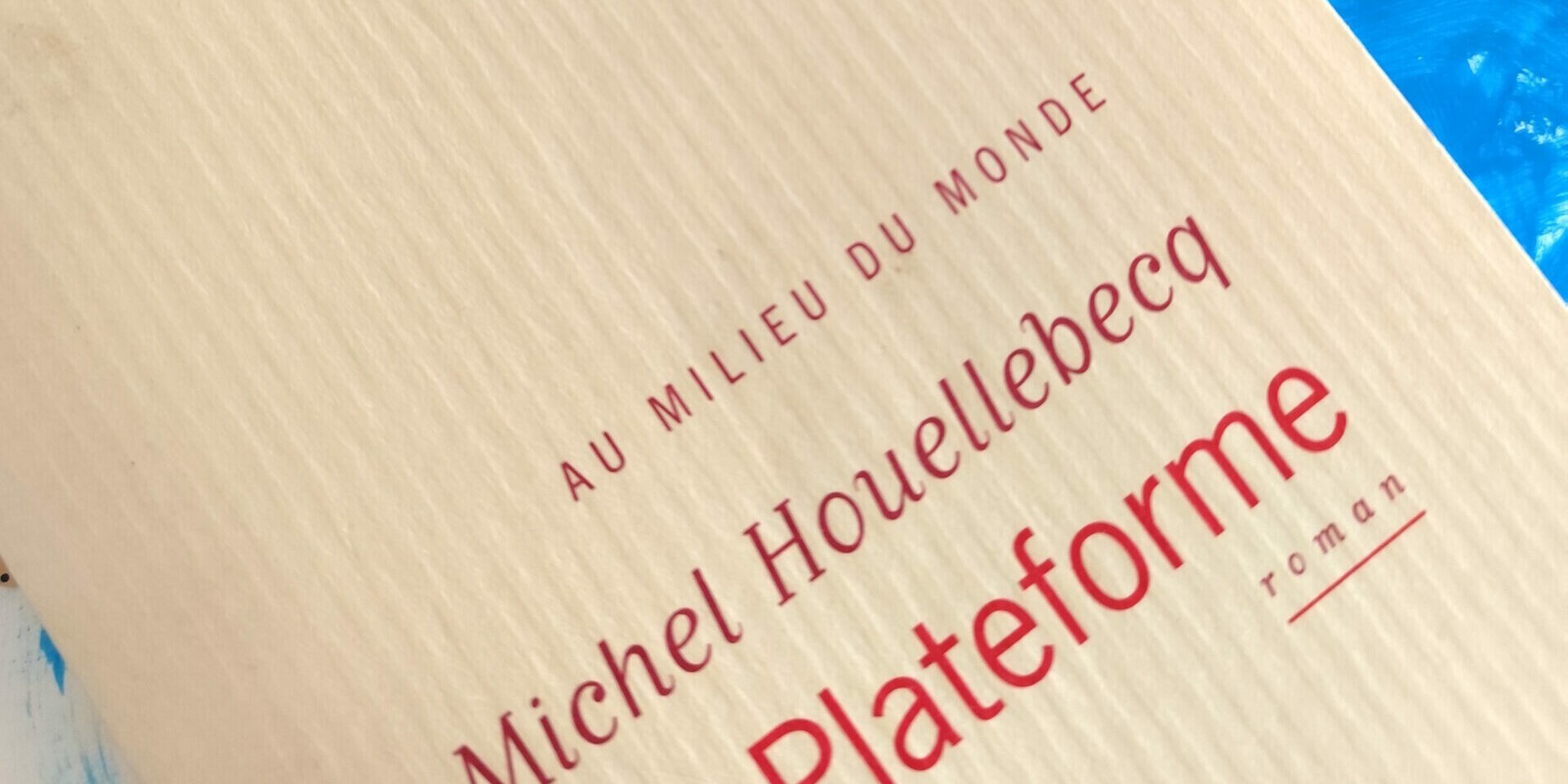 jecritiquetout plateforme michel houellebecq